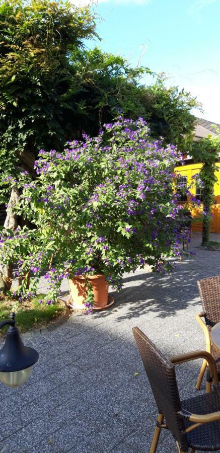 Wein & Gastehaus Hermeshof Hotel Trittenheim Exterior photo